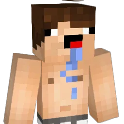 tangodown95 Minecraft avatar bust