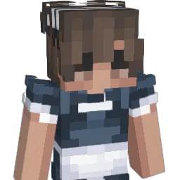 tansan45 Minecraft avatar bust