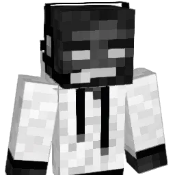 targnew2 Minecraft avatar bust