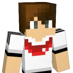 taxableracoon0 Minecraft avatar bust