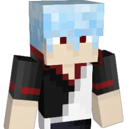 tccc1 Minecraft avatar bust