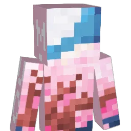 tdhhe Minecraft avatar bust
