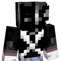 tdub2200 Minecraft avatar bust