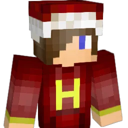 tdub2217 Minecraft avatar bust