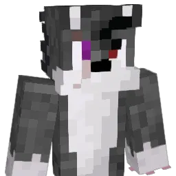 technoblade6624's Minecraft skin