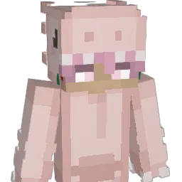 teddycchi
