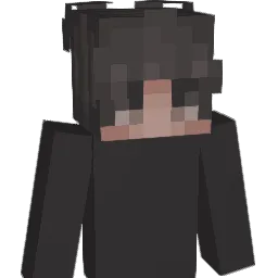 teixeira_fcp Minecraft avatar bust