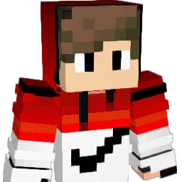 temax007 Minecraft avatar bust