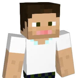 tenacbp Minecraft avatar bust