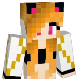 tepaplayer6's Minecraft skin