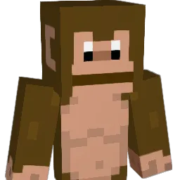 terdynerdy12 Minecraft avatar bust