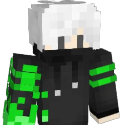 terrarier2111 Minecraft avatar bust