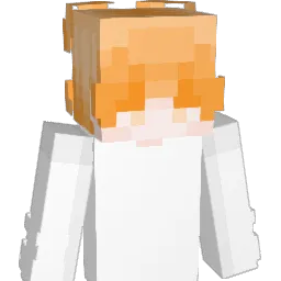 terrenceville Minecraft avatar bust