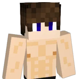 terrydestroyer Minecraft avatar bust