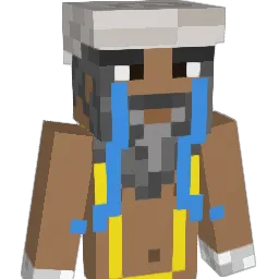 teteelin_ Minecraft avatar bust