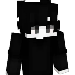 teusx8 Minecraft avatar bust