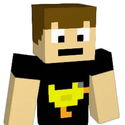 tg809 Minecraft avatar bust