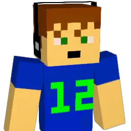 the12thman22 Minecraft avatar bust