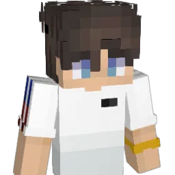theArian Minecraft avatar bust