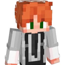 theLidX