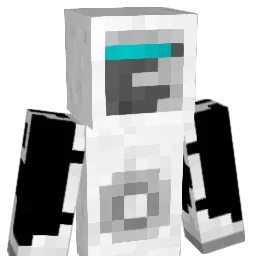 the_Tort Minecraft avatar bust