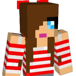 the_expirience Minecraft avatar bust