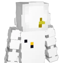 the_n0rth_face