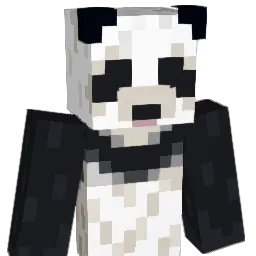 thebau26_ Minecraft avatar bust
