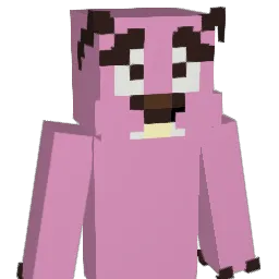 themuzi11 Minecraft avatar bust