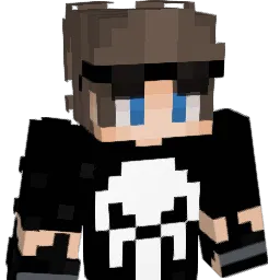 thepuninsher