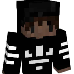thevibeb0t Minecraft avatar bust