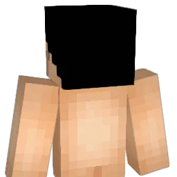 thiagokp06 Minecraft avatar bust
