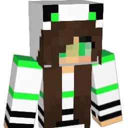 thinmint20 Minecraft avatar bust