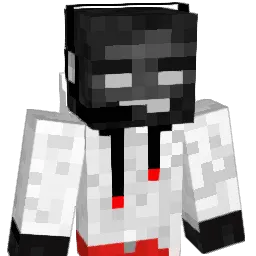 threetracs Minecraft avatar bust