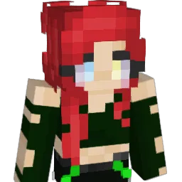 ti123678 Minecraft avatar bust