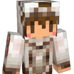 tibisuke23 Minecraft avatar bust
