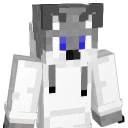 tiddas2 Minecraft avatar bust