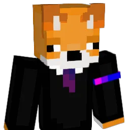 tider_ Minecraft avatar bust