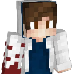tiger800owner Minecraft avatar bust