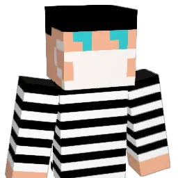 tiha_ Minecraft avatar bust