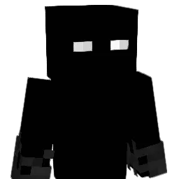 till00711 Minecraft avatar bust