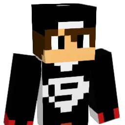 till4321 Minecraft avatar bust