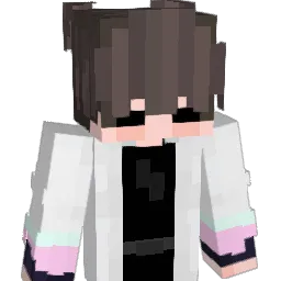 till_055 Minecraft avatar bust