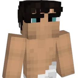 timcleall Minecraft avatar bust