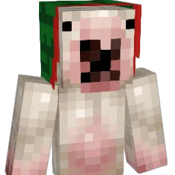 timmy10093649 Minecraft avatar bust