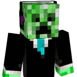 timmyminer49 Minecraft avatar bust