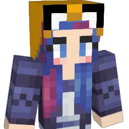 timtim2446's Minecraft skin