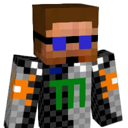 timvannimwegen Minecraft avatar bust