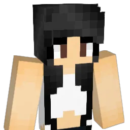 tinad13 Minecraft avatar bust