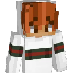 tinoaurel's Minecraft skin